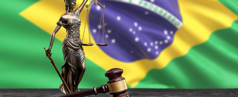 direito constitucional fgv 2024