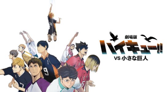 Haikyu!! Vs. The Little Giant