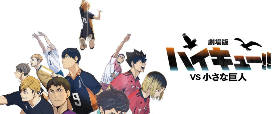 Haikyu!! Vs. The Little Giant