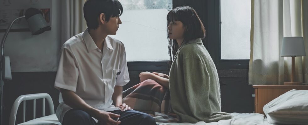 Dear X_BIFF 2025 #1-5-motivos-para-assistir-ao-novo-sucesso-do-viki-queridos-x-a-serie-numero-um-da-plataforma