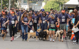 3esportes-pet-run-eldorado-2026-corrida-com-pet-por-r70-no-sp