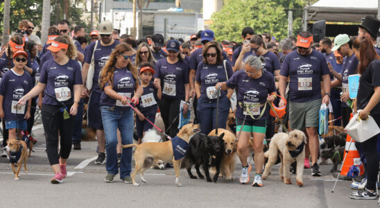 3esportes-pet-run-eldorado-2026-corrida-com-pet-por-r70-no-sp